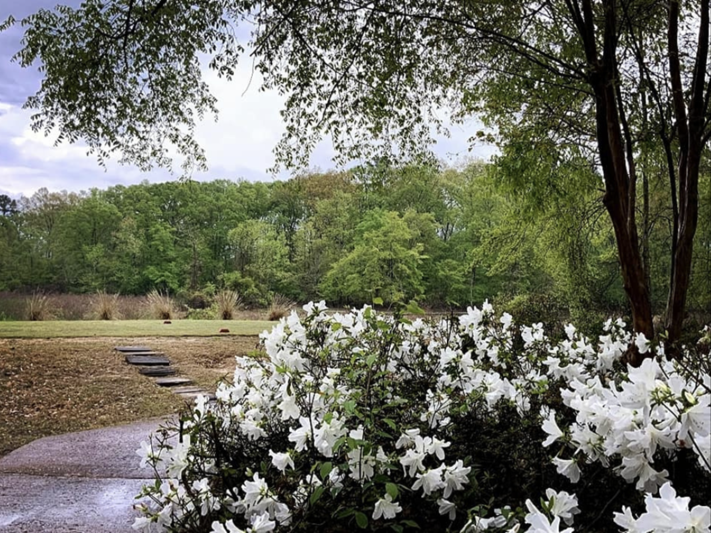 flowers on golf course